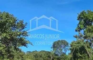 Imagem 14: ABAIXOU VENDO FAZENDA NA REGIÃO DE IBIAI MG, PARA DUPLA APTIDÃO