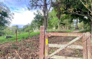 Imagem 8: sítio - Área Rural de Mogi Guaçu - Mogi Guaçu