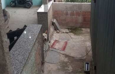 Imagem 3: Casa. Varanda, 2m² de Área, 1 Vaga na garageme1 Dormitório