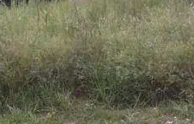 Imagem: O terreno possui 480m² de Área e está localizado em Parque