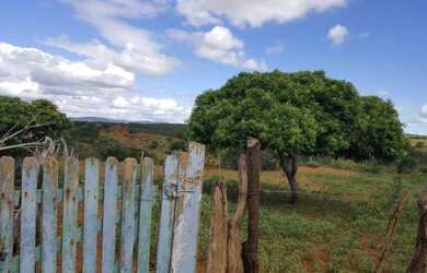 Imagem 8: Fazenda em poções BA. 250.000m² de Área Privada