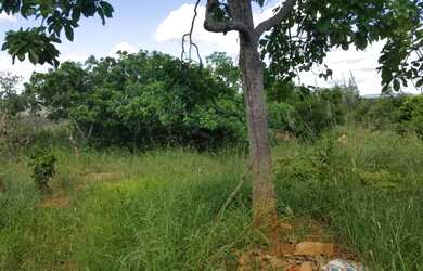 Imagem 7: Fazenda em poções BA. 250.000m² de Área Privada