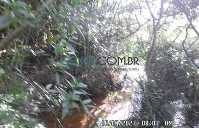 Imagem 8: EXTRAORDIONÁRIO TERRENO DE 35,6 HA PARA LAVOURA EM CARANDAI/MG