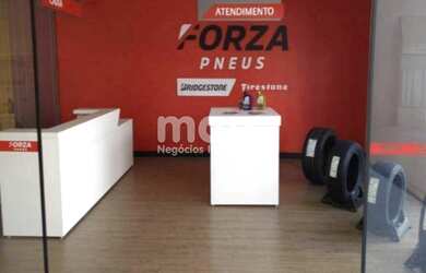 Imagem 8: SAO PAULO - Galpão/Depósito/Armazém - VILA LEOPOLDINA