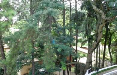 Imagem 14: Casa à venda, 398 m² por R$ 1.580.000,00 - Jardim Marajoara - São Paulo/SP