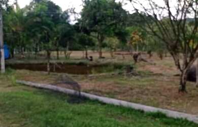 Imagem: O terreno está localizado em Cachoeiras de Macacu, RJ à venda