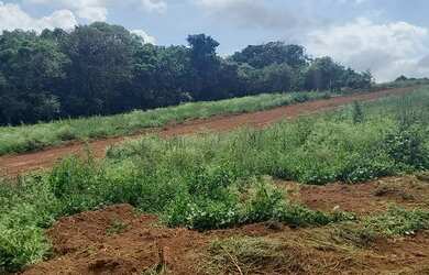 Imagem 4: N01- Terrenos em Atibaia. 450m² de Área