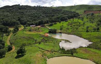Imagem 8: Fazenda à venda, 100 alqueires com 25 alqueires mecanizados por R$ 6.200.000 - Zona Rural