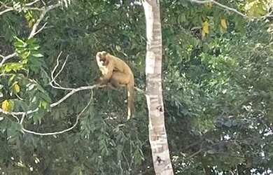 Imagem: A chácara possui 6.500m² de Área e está localizado em Plano