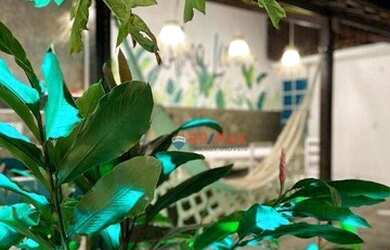 Imagem: Opotunidade de ter a sua casa no coração de Pipa! Locaçao