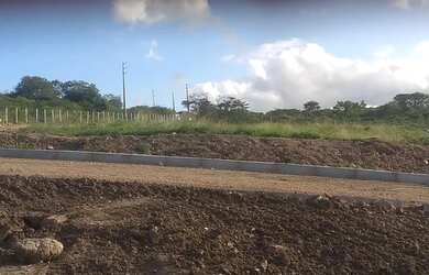 Imagem 3: Lote/Terreno para venda tem 250 metros quadrados em Cruzeiro - Gravatá - PE