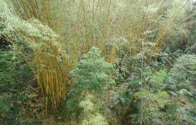 Imagem 7: Apartamento com 3 dormitórios para alugar, 220 m² por R$ 6.500/mês...