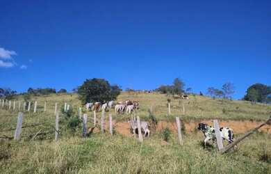 Imagem: O terreno possui 50.000m² de Área e está localizado em Cambuí