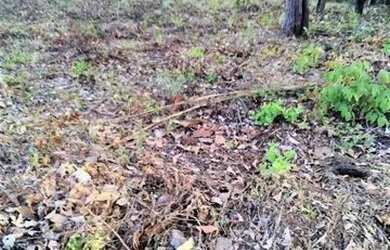 Imagem: O terreno possui 682m² de Área e está localizado em Plano