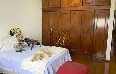 Imagem 9: Belíssimo Apartamento ,sacada na sala mobiliável, frente com vista livre, em excelente loc