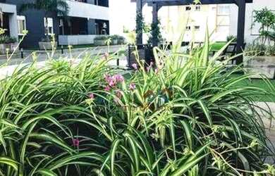 Imagem 5: Apartamento com 2 dormitórios à venda, 53 m² por R$ 320.000,00 - Centro...