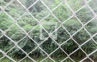 Imagem 8: Apartamento para Aluguel - Ingá, 3 Quartos, 95 m2