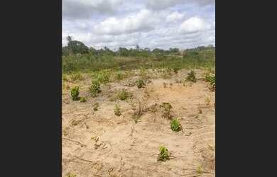 Imagem: O terreno possui 1000m² de Área e está localizado em São