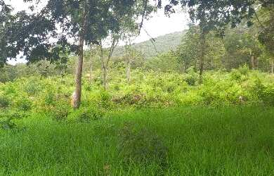 Imagem: A fazenda possui 540.000m² de Área e está localizado em