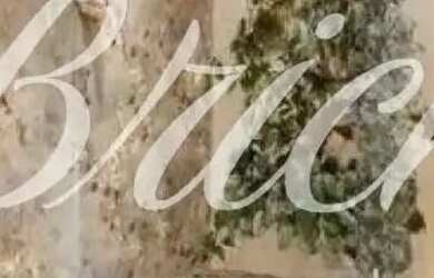 Imagem 14: APARTAMENTO VENDA BELA VISTA - 175M² - 1 SUITE E 2 VAGAS