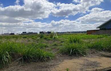 Imagem 2: Terreno à venda no Bairro TOCANTINS em TOLEDO por R$ 355.000,00