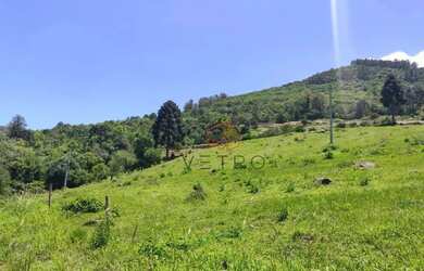 Imagem 16: Sítio à Venda em Gramado