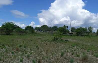 Imagem: A fazenda possui 10m² de Área e está localizado em Cantá