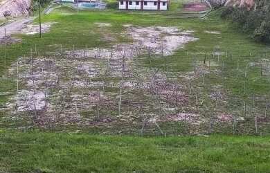 Imagem: O quarto e está localizado em Distrito Industrial I, Manaus