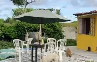 Imagem 7: Vendo ou troco por imóvel