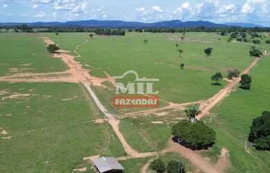 Imagem 8: Fazenda 197 alqueires 953,48 hectares Novo Brasil - Go