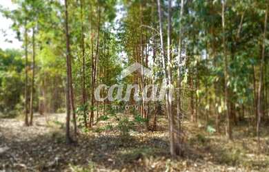 Imagem 3: São Gonçalo do Abaeté - Fazenda - São Gonçalo do Abaté