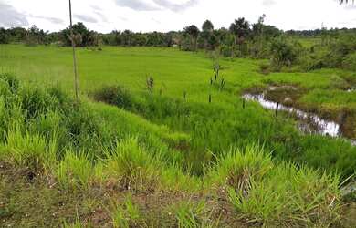 Imagem: A fazenda está localizado em Caimbé, Boa Vista à venda por