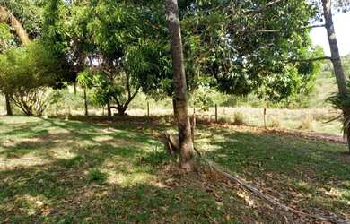 Imagem 1: Fazenda com 4 dormitórios à venda, 6437200 m² por R$ 16.000.000,00...