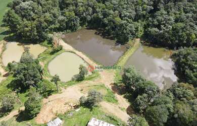 Imagem 11: Fazenda à venda, 100 alqueires com 25 alqueires mecanizados por R$ 6.200.000 - Zona Rural