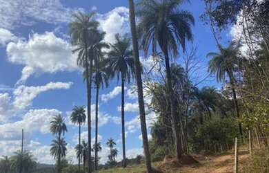 Imagem 2: Chácaras com água corrente cercadas por muito verde em Juatuba - MG