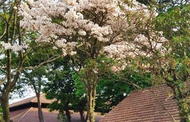 Imagem: A casa possui 4 Dormitórios, 4 Banheiros, 132m² de Área e