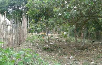 Imagem: O terreno possui 8m² de Área e está localizado em Cohab