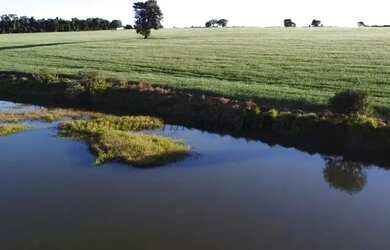 Imagem 15: Sítio com 11 alqueires para agricultura Nogueira Imóveis Rurais