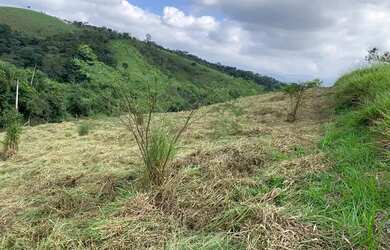 Imagem: O terreno possui 500m² de Área e está localizado em Jardim