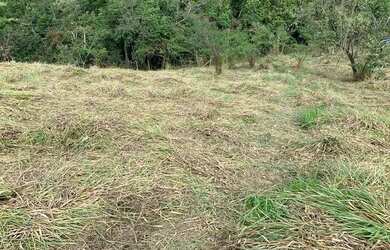 Imagem 12: LOTE COM VISTA PARA O LAGO