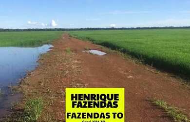 Imagem 3: Fazenda região Vale do Araguaia no Tocantins