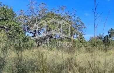 Imagem 3: ABAIXOU VENDO FAZENDA NA REGIÃO DE IBIAI MG, PARA DUPLA APTIDÃO