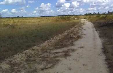 Imagem: A fazenda está localizado em Vila Janaína, São Luís à venda