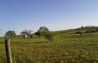 Imagem: O terreno está localizado em Tucano, BA à venda por R$600.000