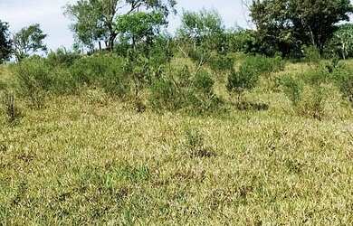 Imagem 6: Sitio Morro Vermelho Pinheiro Alto