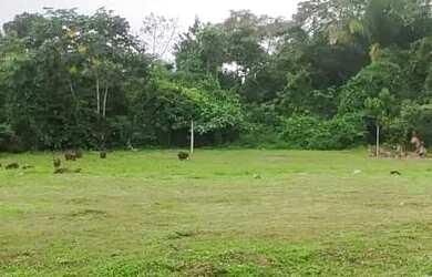 Imagem: O terreno possui 1440m² de Área e está localizado em Conjunto