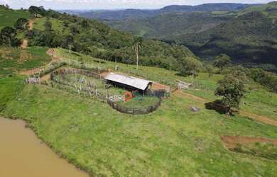 Imagem 5: Fazenda à venda, 100 alqueires com 25 alqueires mecanizados por R$ 6.200.000 - Zona Rural