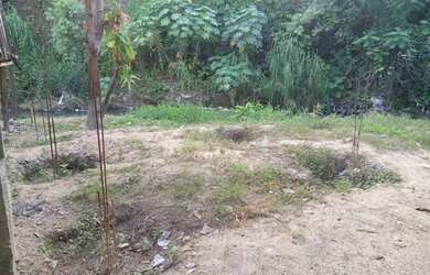 Imagem 2: Terreno de 5.000. 