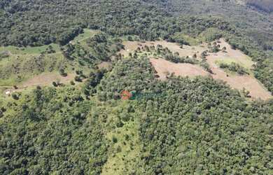 Imagem 14: Fazenda à venda, 100 alqueires com 25 alqueires mecanizados por R$ 6.200.000 - Zona Rural
