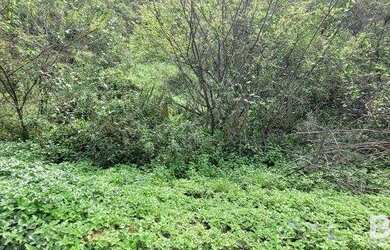 Imagem 6: Terreno à venda, 430 m² por R$ 120.000,00 - Badenfurt - Blumenau/SC